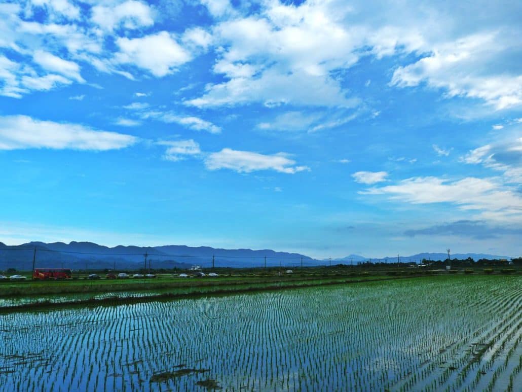 Fengbin Rice Field Taiwan