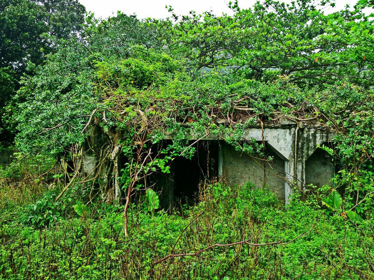 Green Island Youzihu Abandoned House