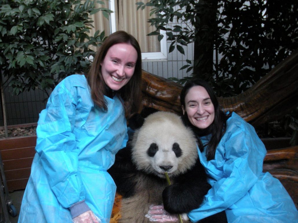 Hugging a Panda in China