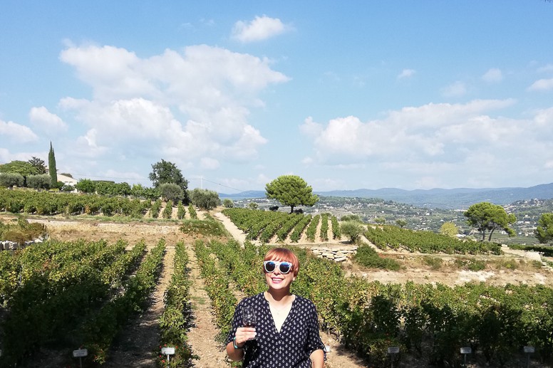 Wine tasting in Provence