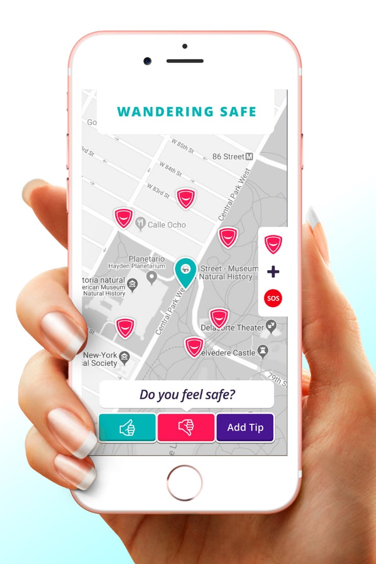 WanderSafe Device and App