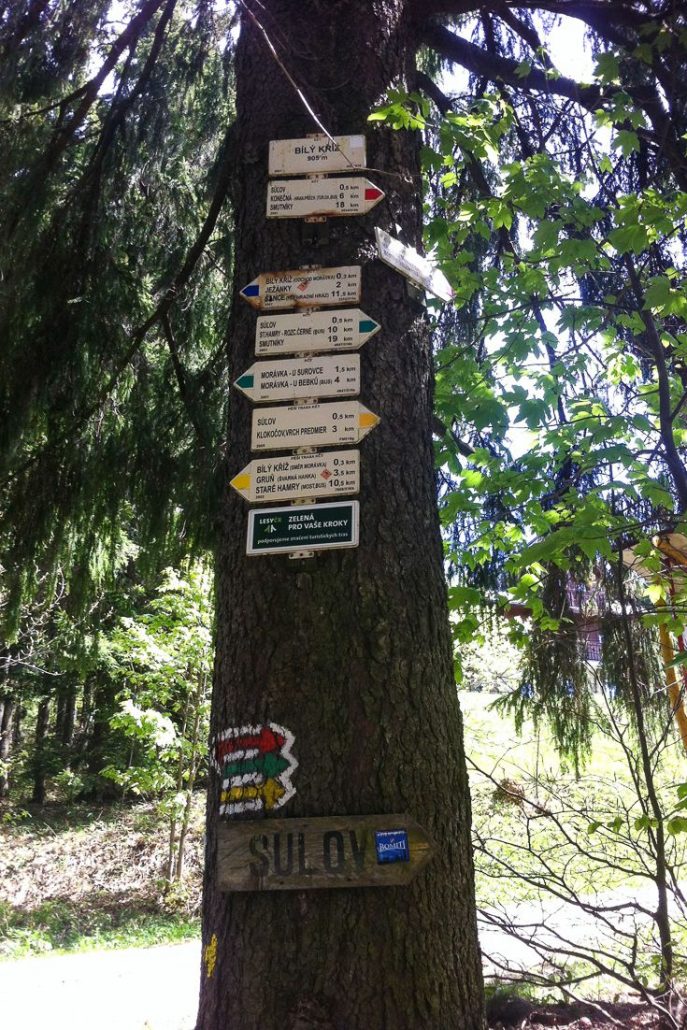 Photo of a tree with a bunch of signs pointing to different hiking trails in every direction