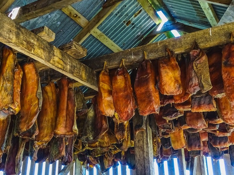 Hakarl fermented shark hanging up from the rafters in a open room ready to be served